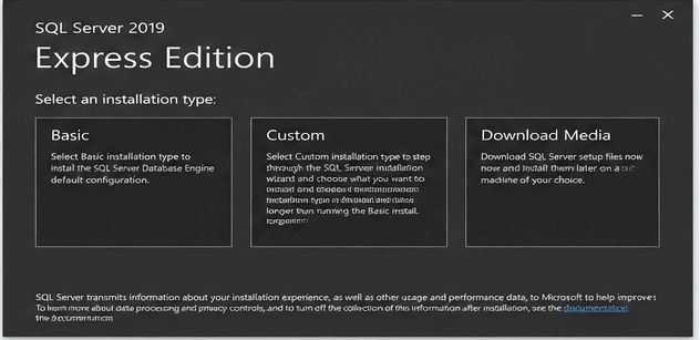 SQL Server 2019 installer setup screen showing Basic Custom and Download Media options