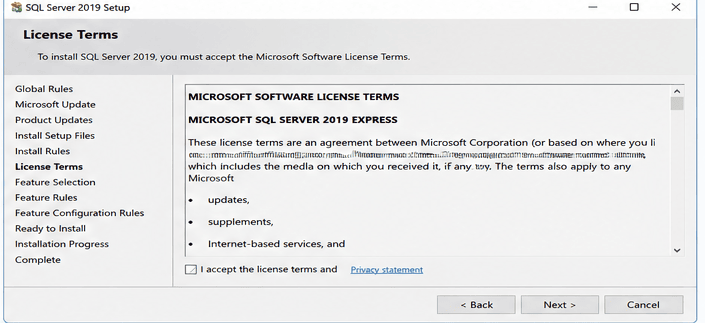 SQL Server 2019 license terms setup screen during installation process